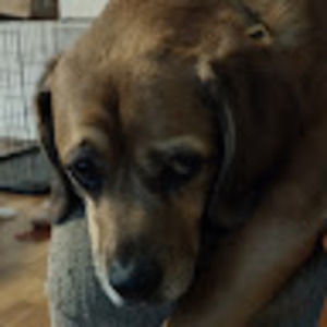 Meet your Posher, Mrs